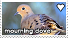mourning dove blingie